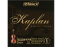 D'Addario