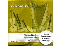 tenor (1)