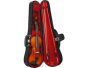Strykeinstrumenter