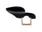 guarneri