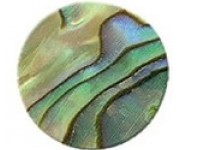 Abalone