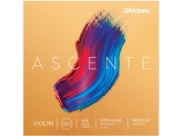 Ascenté