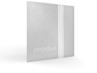 vln_perpetual_persp72 (1)